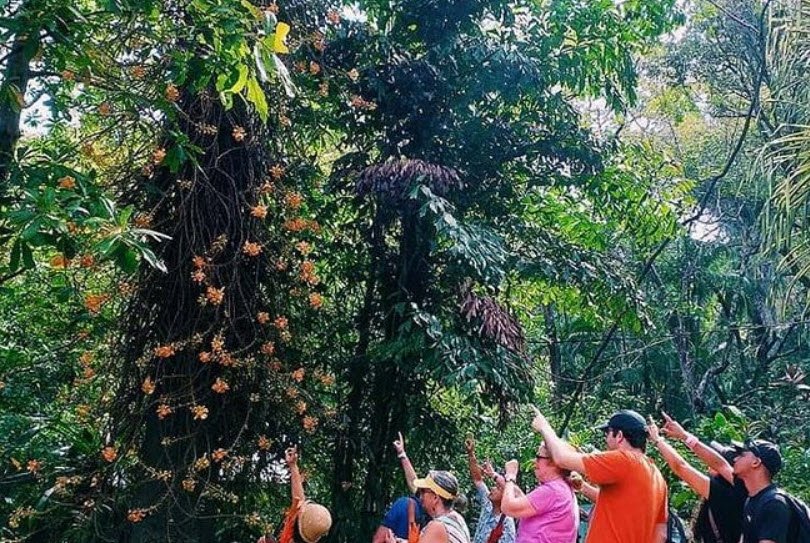 Carambola Botanical Gardens, Roatán, Honduras